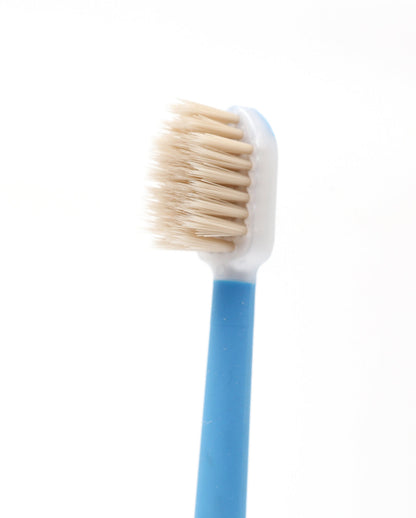 Fancy Smart Miswak toothbrush
